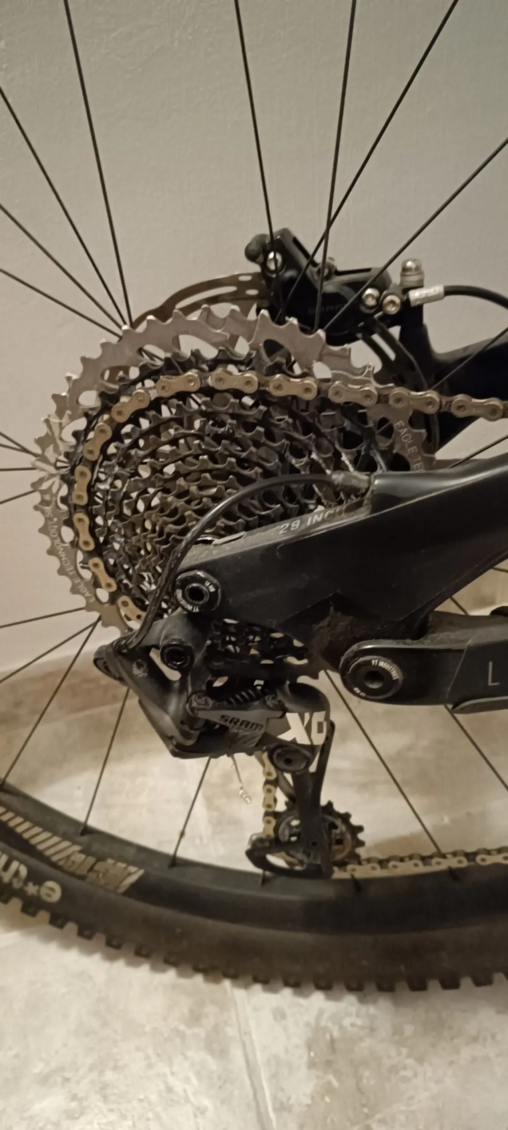 Photo 7 of YT CAPRA comp
