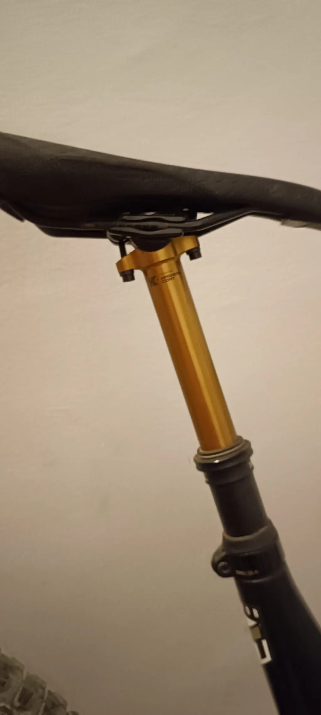 Photo 4 of YT CAPRA comp