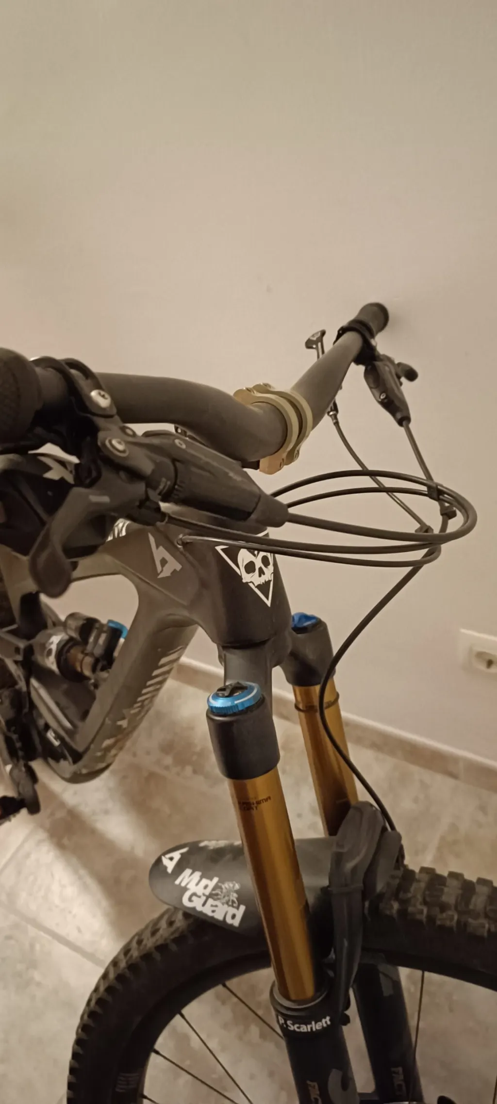 Photo 3 of YT CAPRA comp