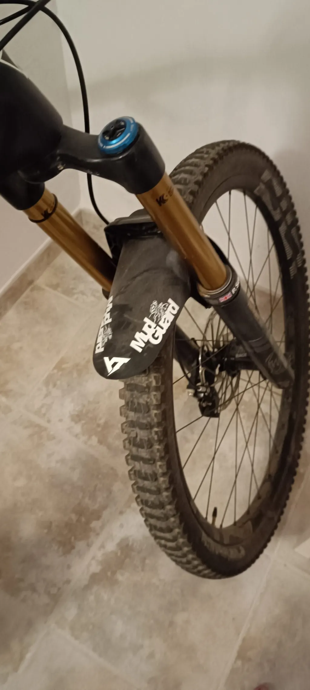 Photo 2 of YT CAPRA comp