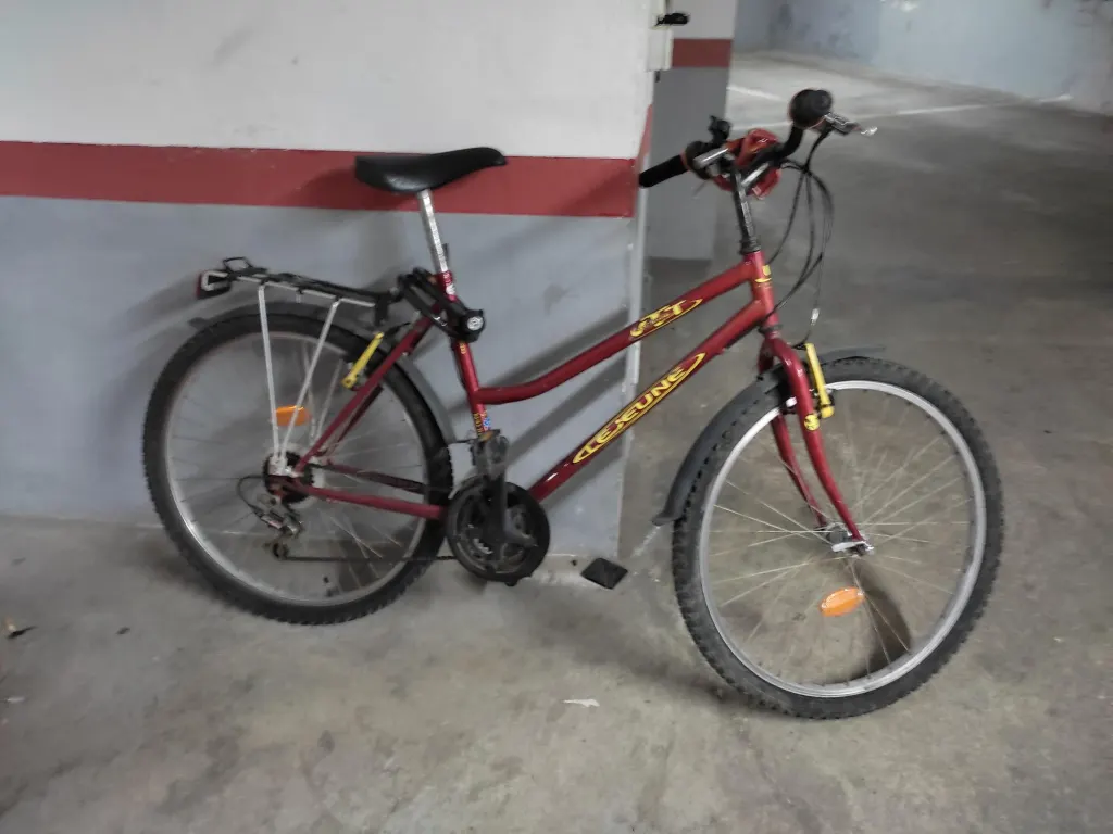 Photo 2 of Bicicleta marca Lejeune color bordeau