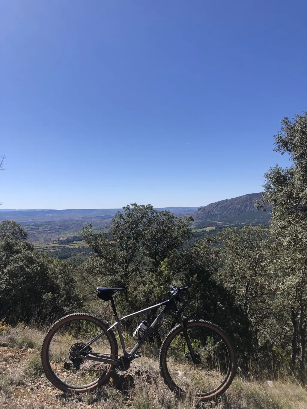 Orbea alma M50