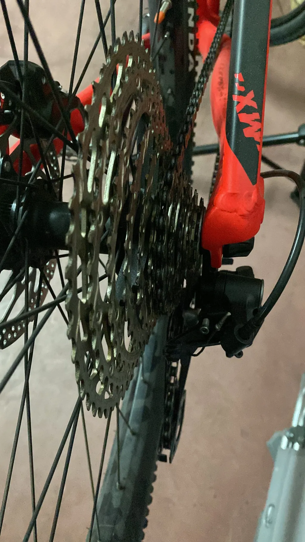 Photo 5 of Orbea MX20 29"