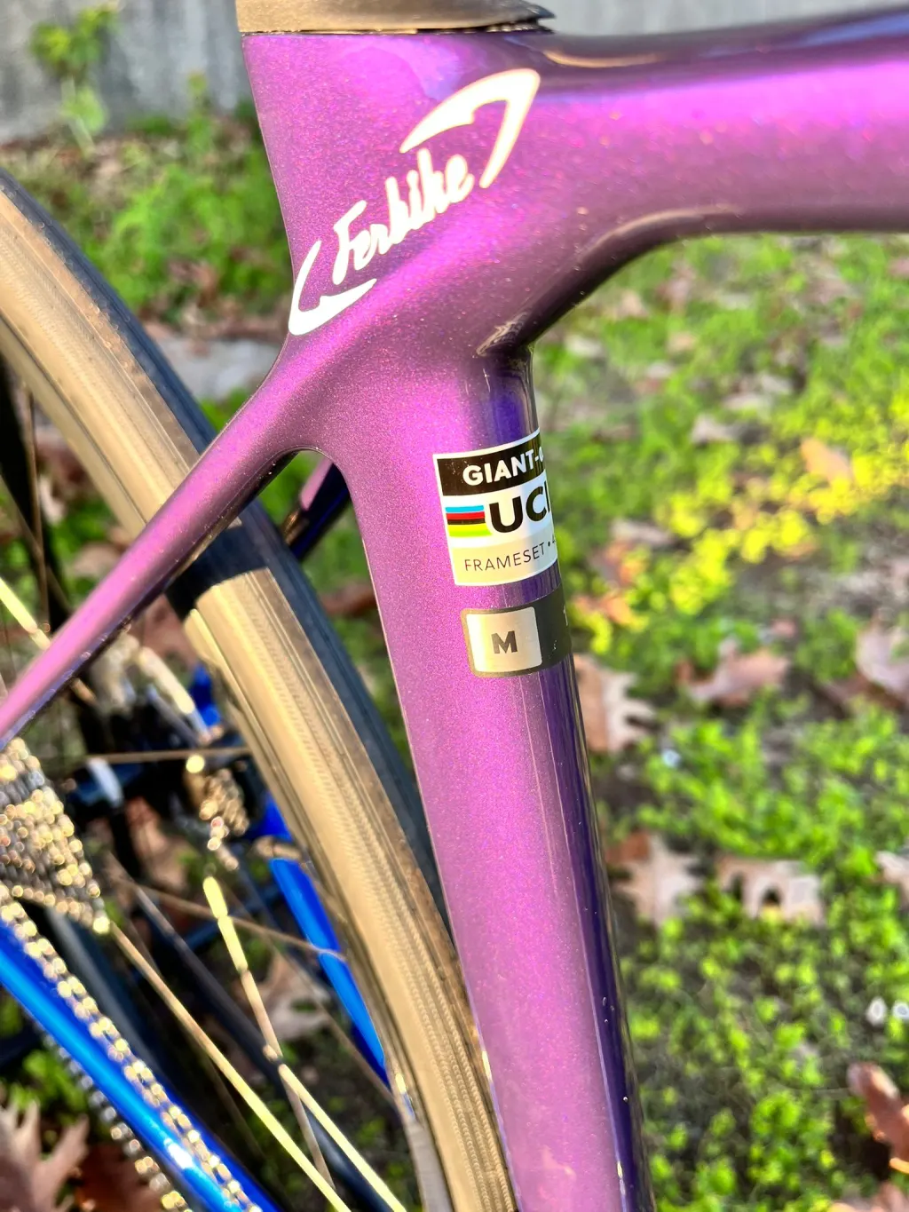 Foto 2 de GIANT TCR Advanced 1 Pro Compact (2026)