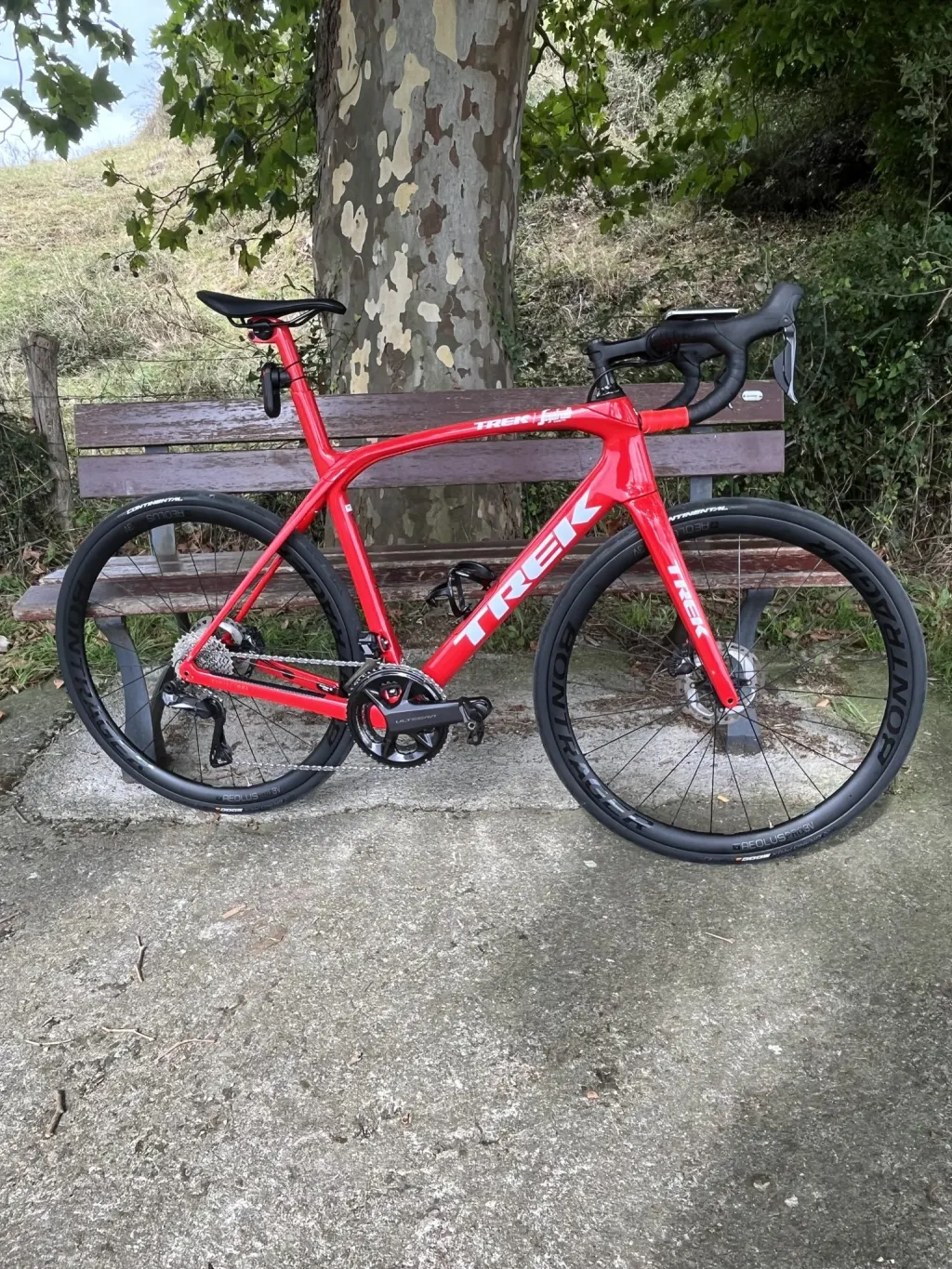 Trek Domane SLR 7 (2024)
