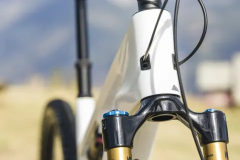 150 Nm and a 2.9 kg frame: the Canyon Spectral CF 9 e-MTB raises the bar, photo 1