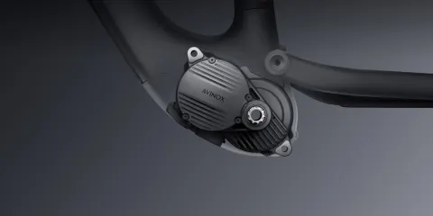 Desde 5.000 €: 10 e-MTB con motor Avinox M2S y cómo elegir la tuya, foto 2
