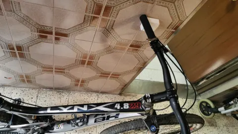 Mtb 29 BH Linx 4.8