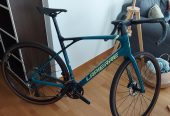 Lapierre Pulsium SAT Allroad 6.0 2023