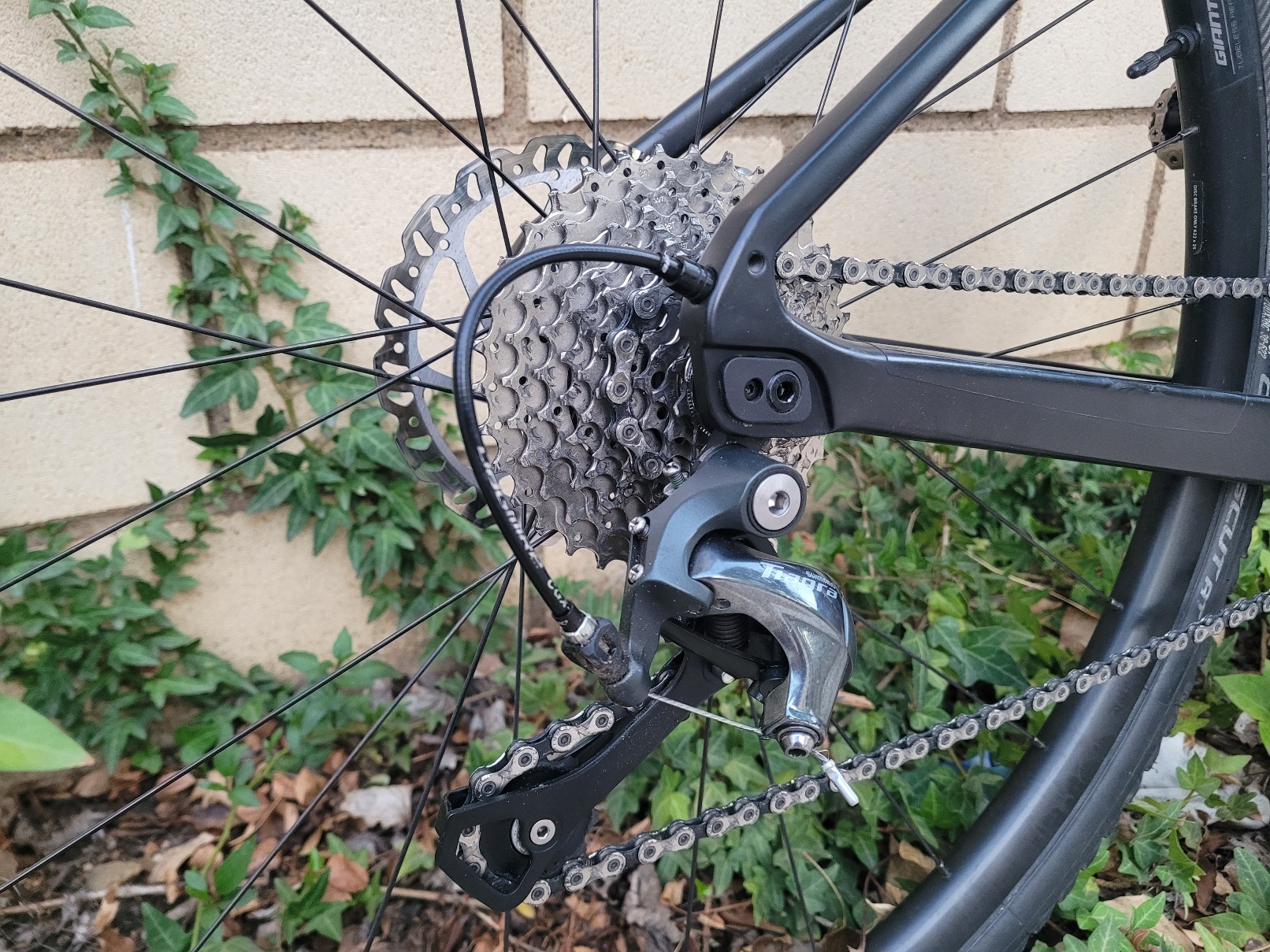 Giant Revolt Advanced 3