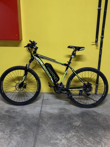 E-Bike E-Actimover Power Pro Plus