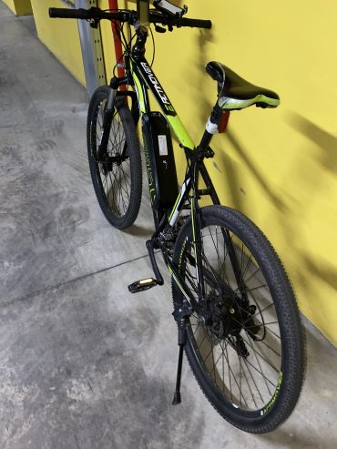 E-Bike E-Actimover Power Pro Plus