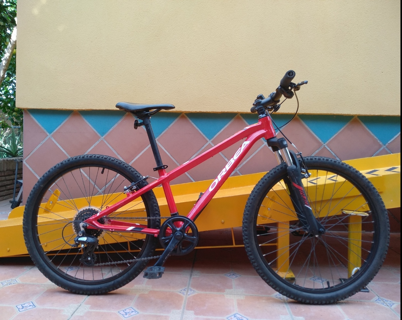 Montain niño/adolescentes