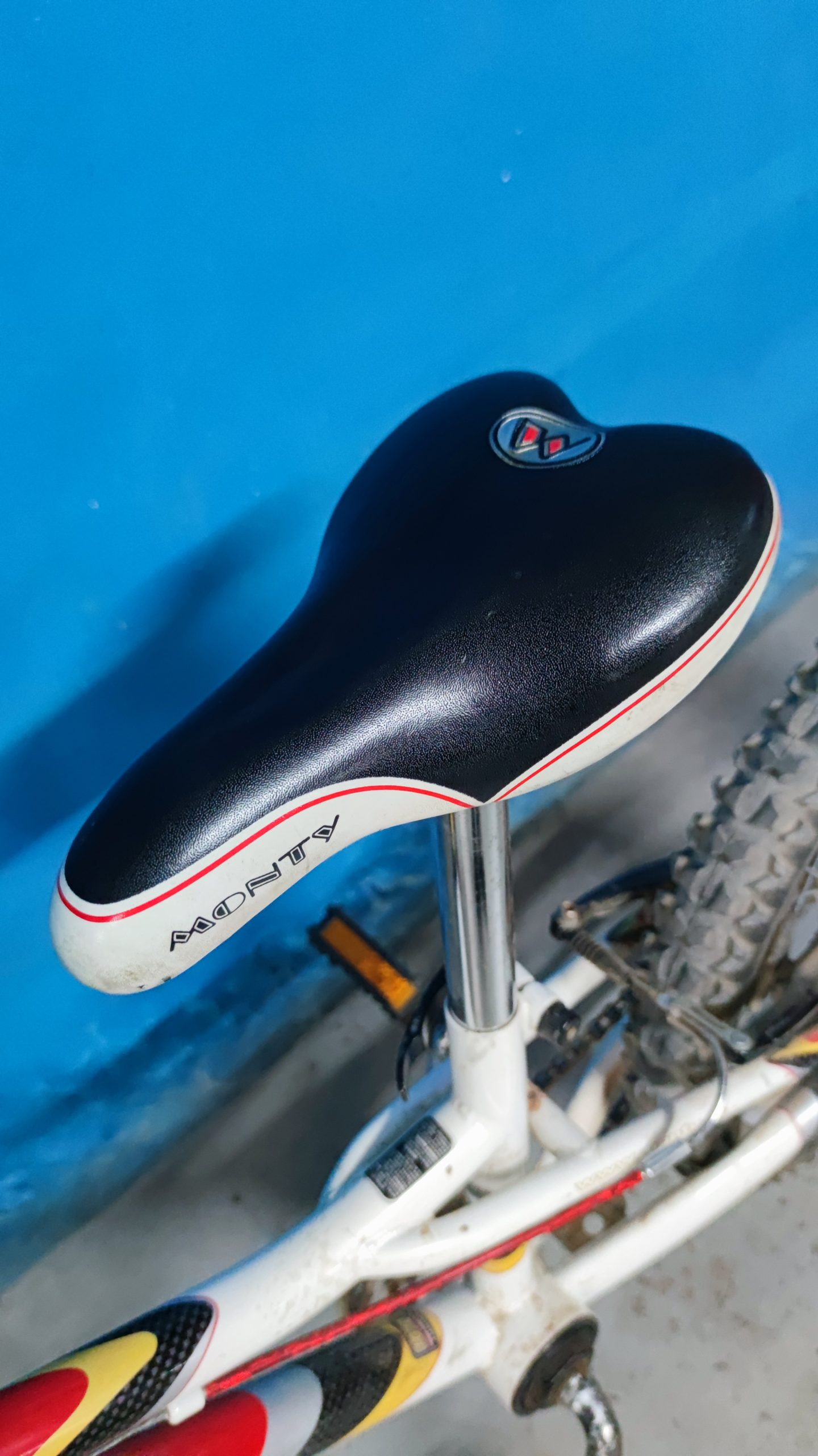 Bicicleta Monty “First Bike” 16″