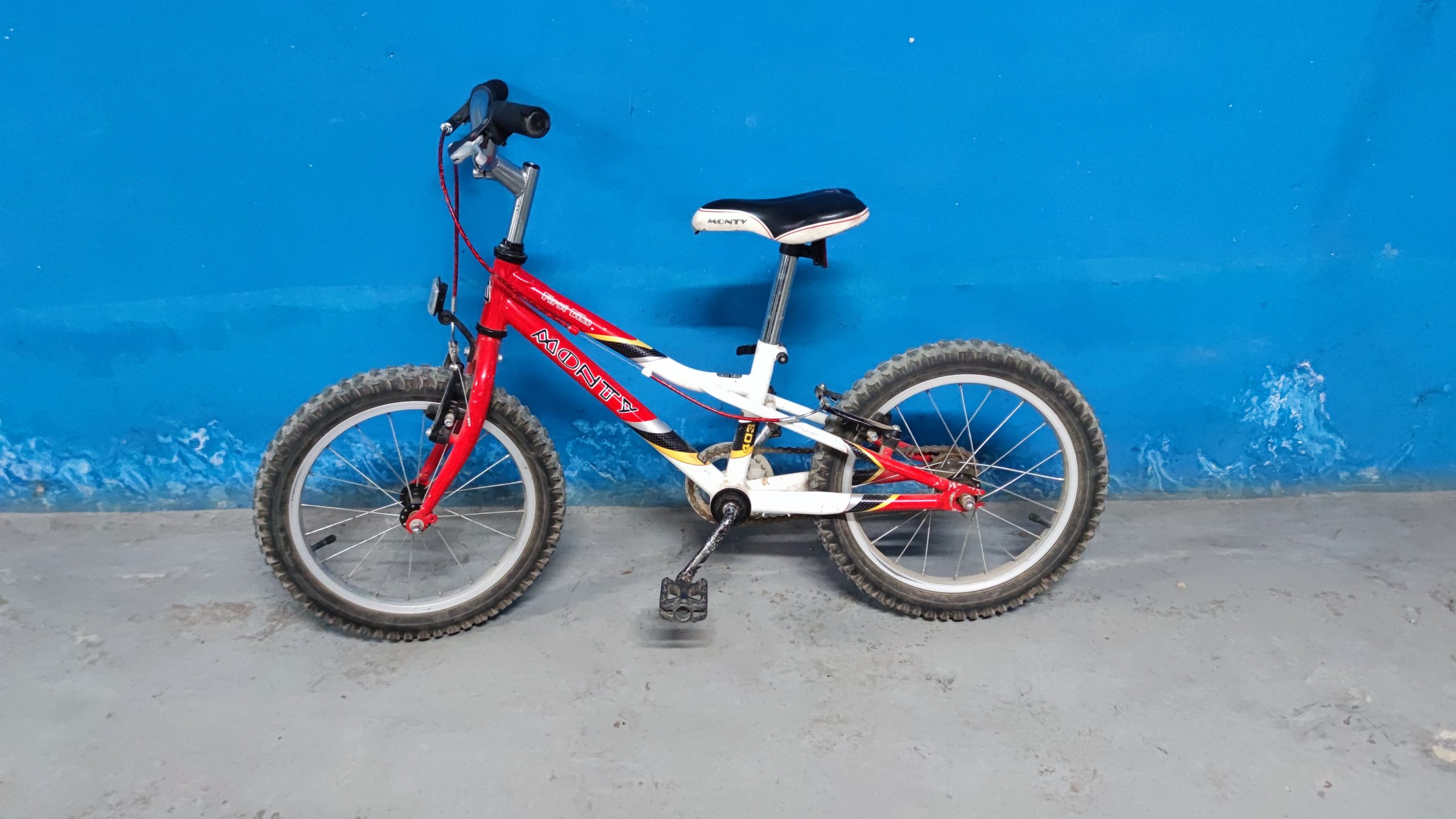 Bicicleta Monty “First Bike” 16″