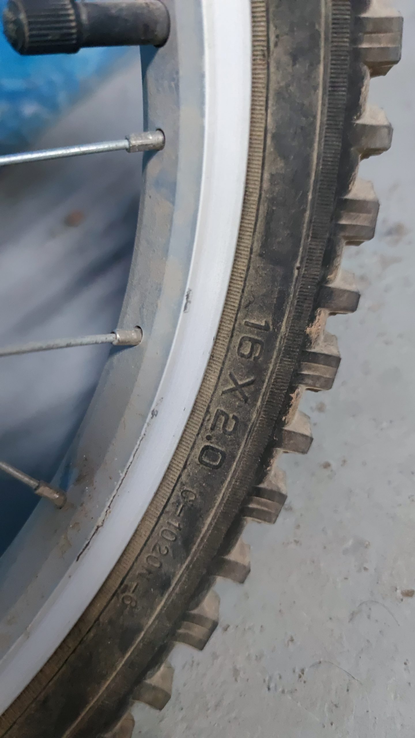 Bicicleta Monty “First Bike” 16″