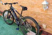 Trek Powerfly 7