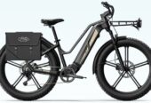 Bici eléctrica de montaña Fiido Titan