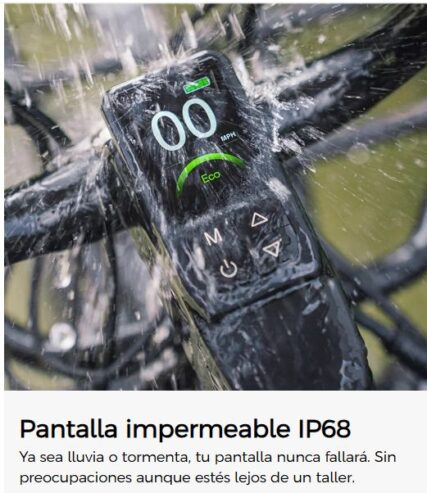 Bici eléctrica de montaña Fiido Titan