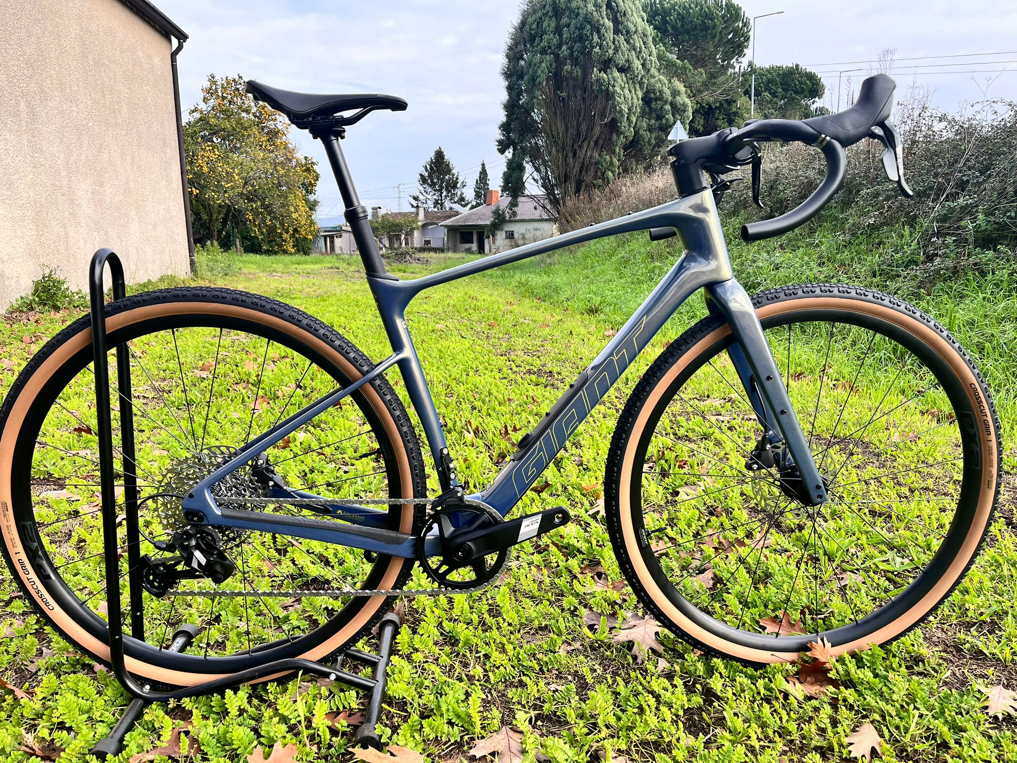 Giant Revolt Advanced 1