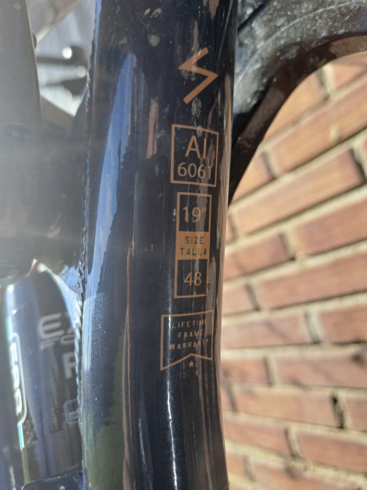 Conor Manila 29″ – 600kms