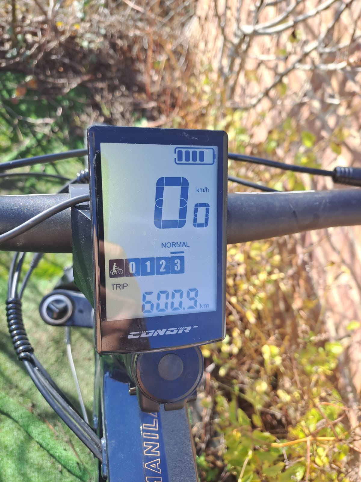 Conor Manila 29″ – 600kms