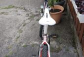 Bicicleta de montaña Massi