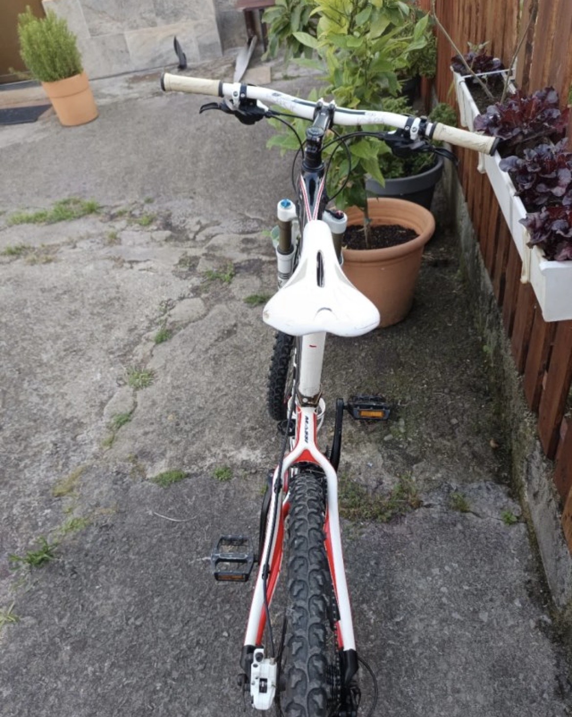 Bicicleta de montaña Massi