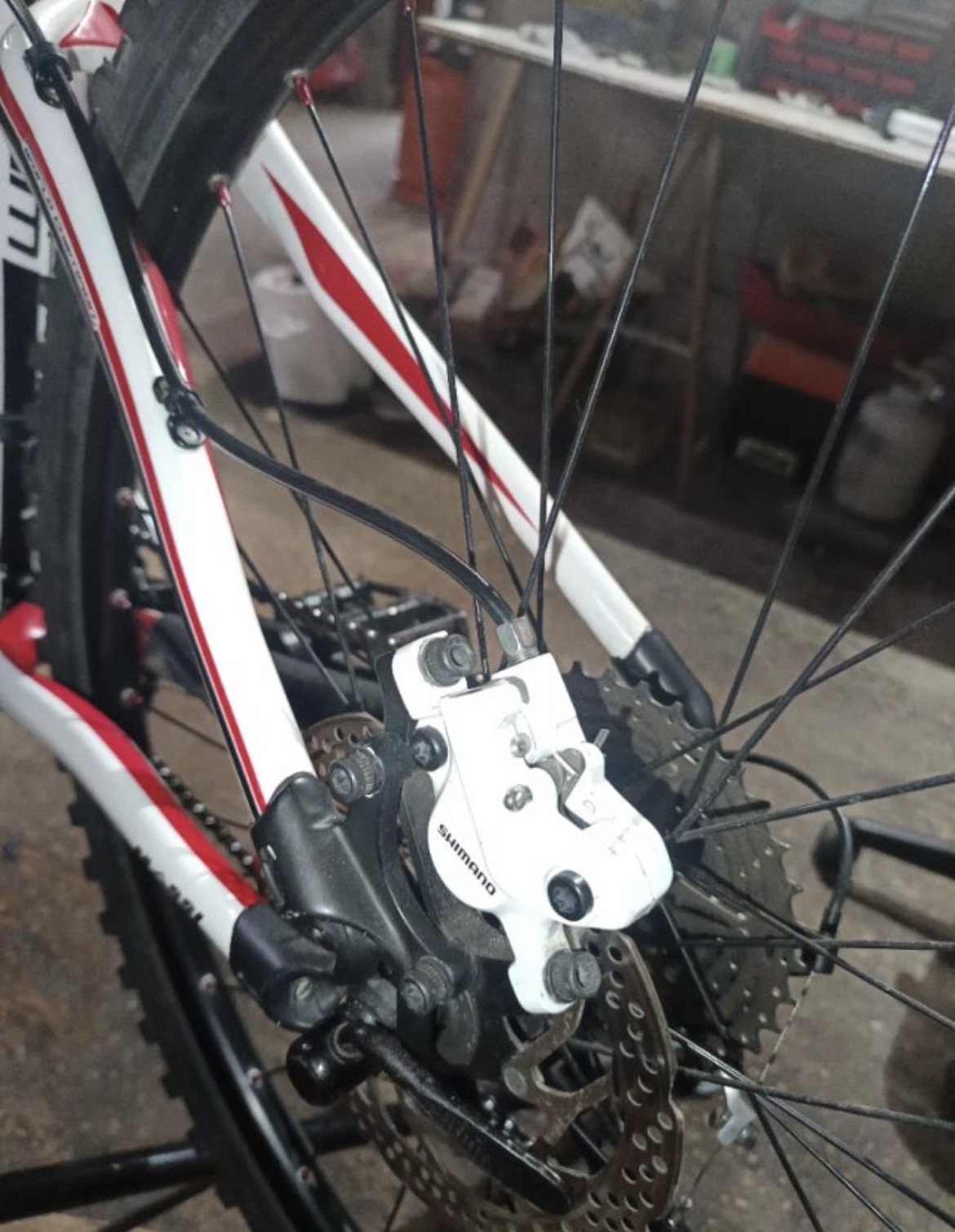 Bicicleta de montaña Massi