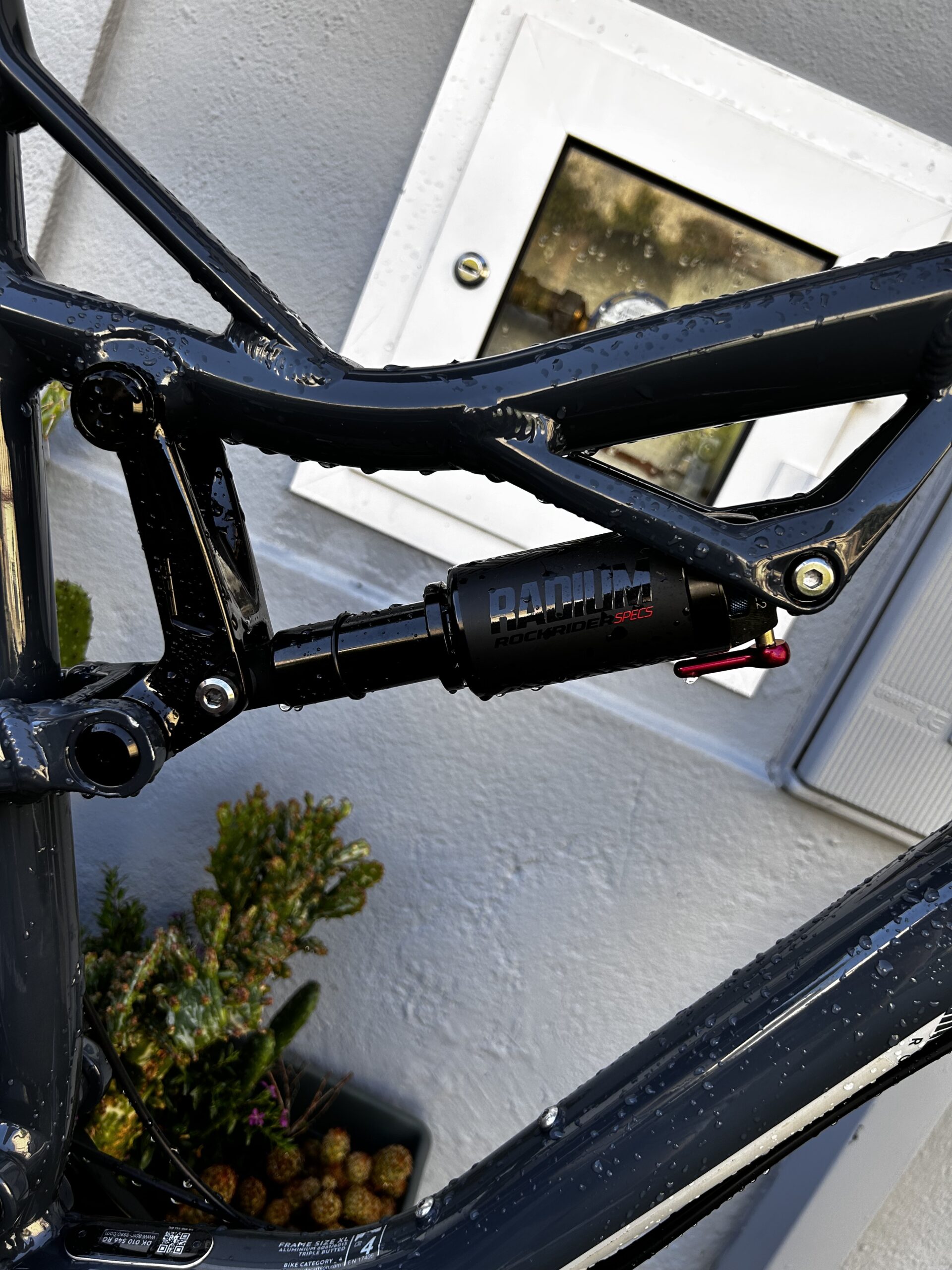 ROCKRIDER AM 50S